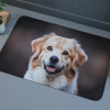 Pet Mats - Image 2