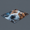 Pet Mats - Image 6